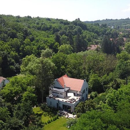 Villa Viridis Buekkalja Borsodgeszt Exterior foto