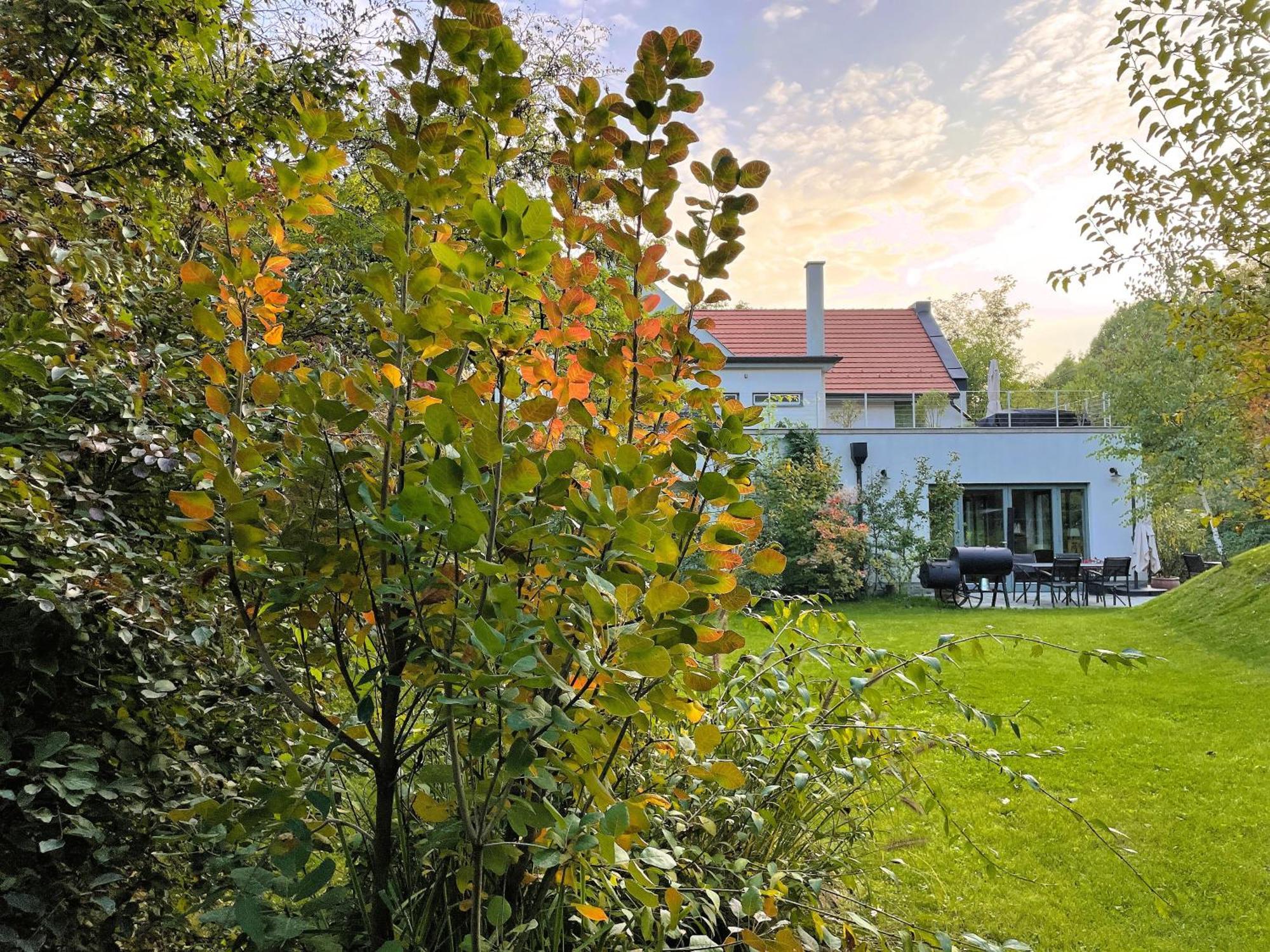 Villa Viridis Buekkalja Borsodgeszt Exterior foto