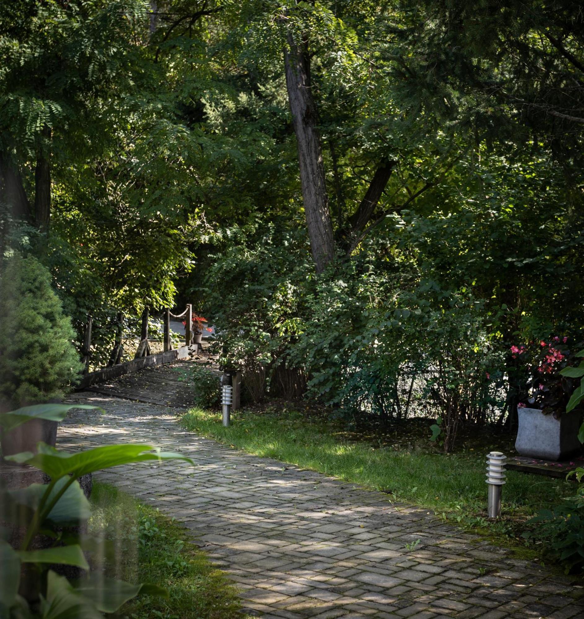 Villa Viridis Buekkalja Borsodgeszt Exterior foto